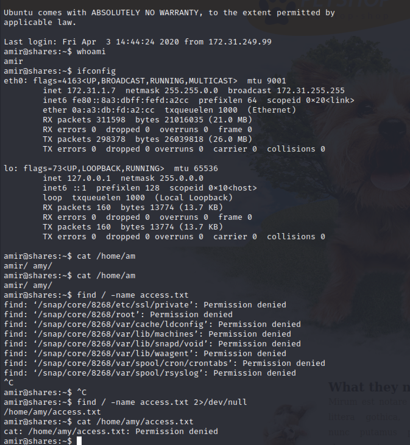 Pasted image 20220108191321