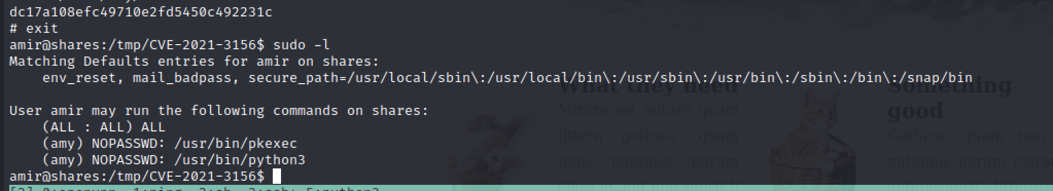 Pasted image 20220108191548